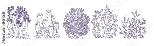 Set corals different forms. Vector coralline reef ocean animals underwater life doodle line isolated illustrations.