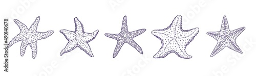 Set starfishes different forms. Vector wild ocean animals mollusk underwater life doodle line isolated illustrations.