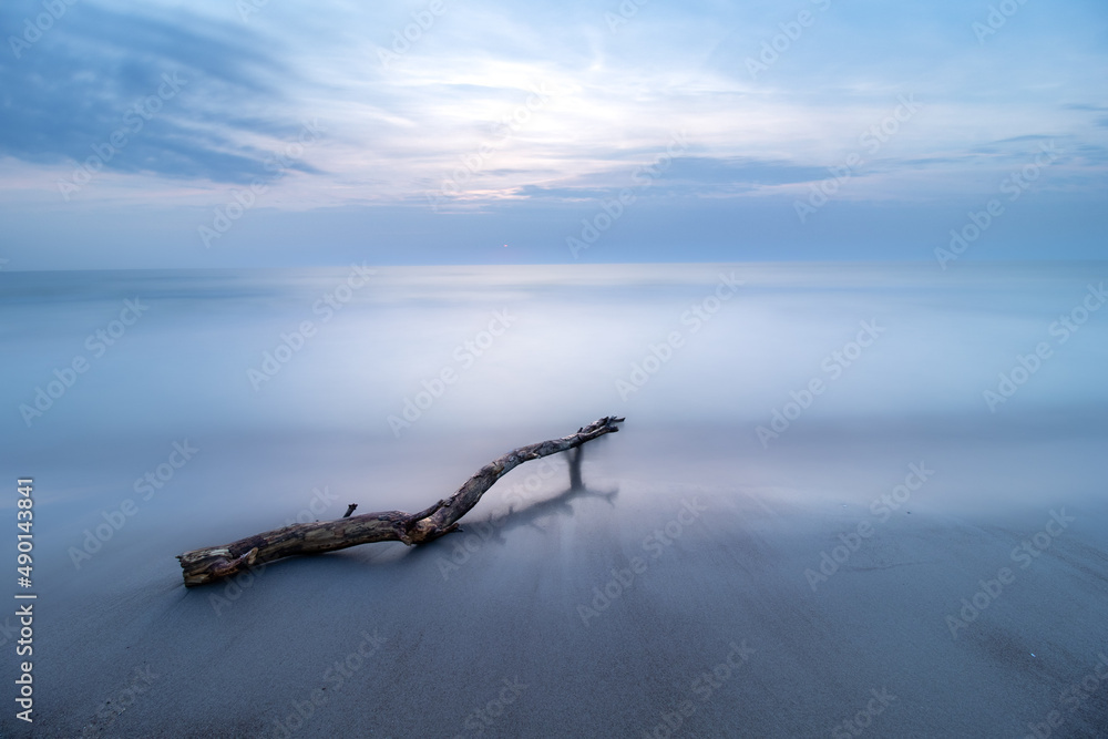 Beautiful shot of a seascape and a tree trunk under the cloudy skies - obrazy, fototapety, plakaty 