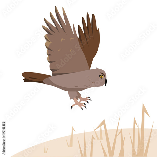 Brown owl predatory bird flies to the ground or attacks. Nature and wildlife, birdwatching and ornithology design. Vector cartoon or flat illustration.