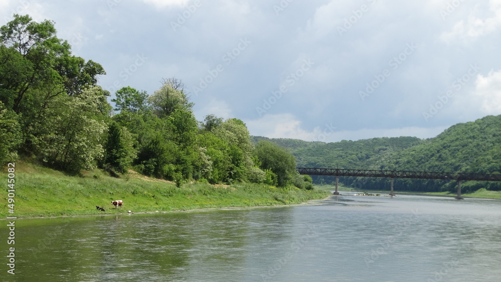 Dniester River, flowing through Ukraine, in the Podolia Upland, Region, border, with Moldova, water, nature, current, Dniester River, flowing through Ukraine, in the Podolia Upland, Region, border, with Moldova, water, nature, current,