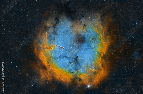 A view of the Elephant trunk nebula in the star filled sky photo