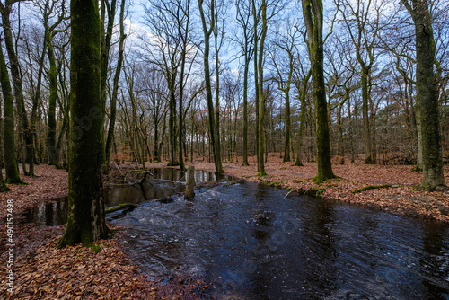 Leuvenumse bossen  Hulshortserzand