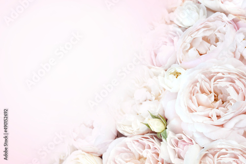 Delicate blooming festive roses and light pink flowers background, blossoming rose flower soft pastel frame, bouquet floral card, selective focus