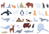 Alaska icons set cartoon vector. Seal animal. Walrus eskimo
