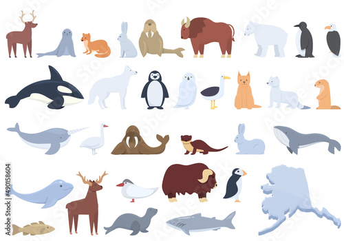 Alaska icons set cartoon vector. Seal animal. Walrus eskimo