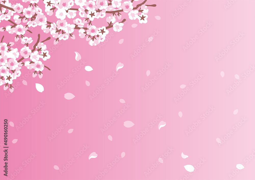 春の桜と花びらが舞うピンクの背景