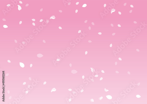 Fototapeta Naklejka Na Ścianę i Meble -  桜の花びらが舞うピンクの背景