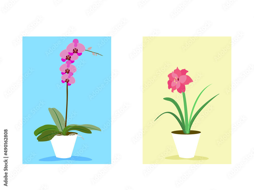 Two houseplants in a white pod vector illustration EDITABLE Orchidaceae, Amarillys