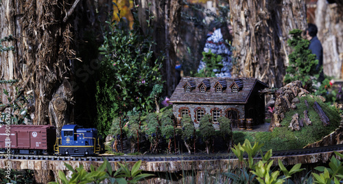 Canvas Print Diorama of a house with a train passing
