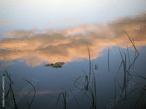 Clouds reflect off the surface of a small pond on the Kenai Peninsula of Alaska