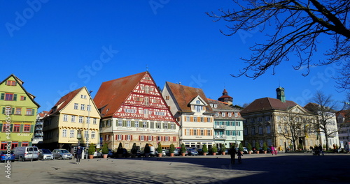 Esslingen Marktplatz mit schönen Fachwerkhäusern und dekorativem Baum unter blauem Himmel 