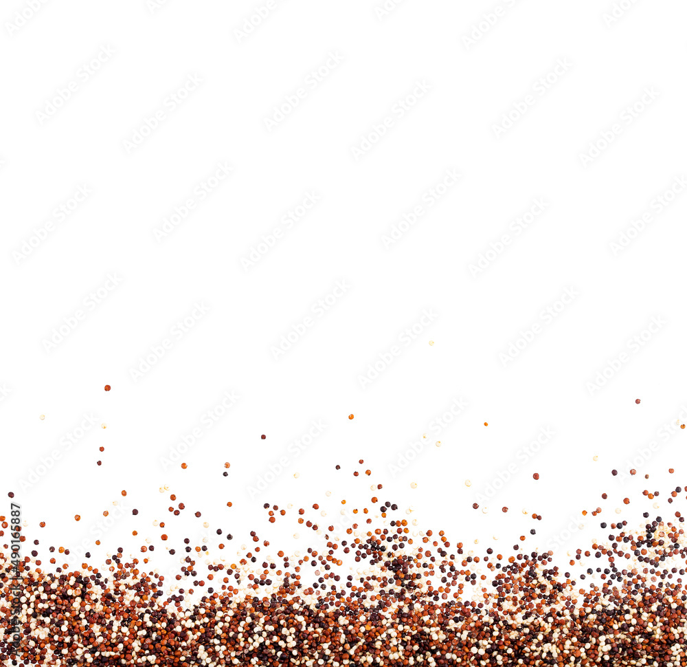 Mix of red, white and black quinoa - Chenopodium quinoa