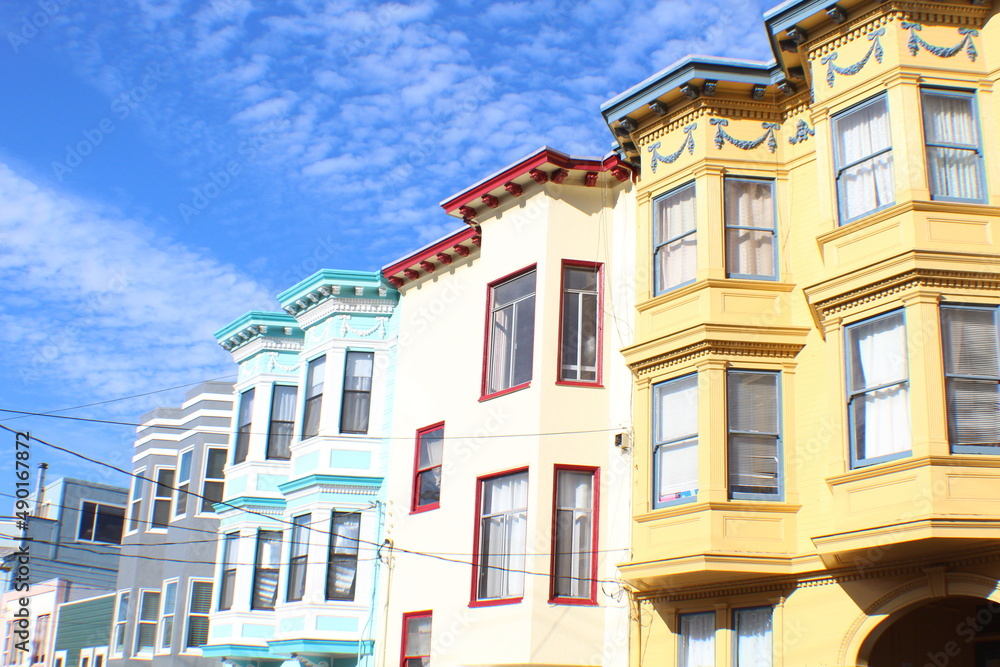 Obraz premium house v