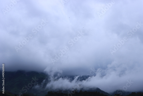 Distant view of a beautiful mountains with forests covered in fog © Wirestock 
