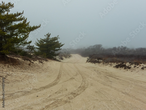 Фотография Burma road on the beach on fire island on a fogy morning, peaceful and quite