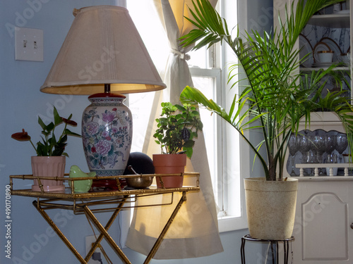 lamp and palm tree by window, relaxing