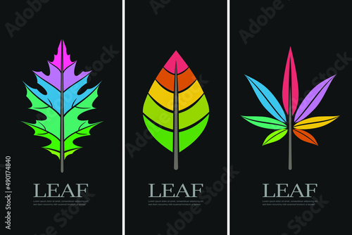 Vector illustration of colorful leaf design elements on black background