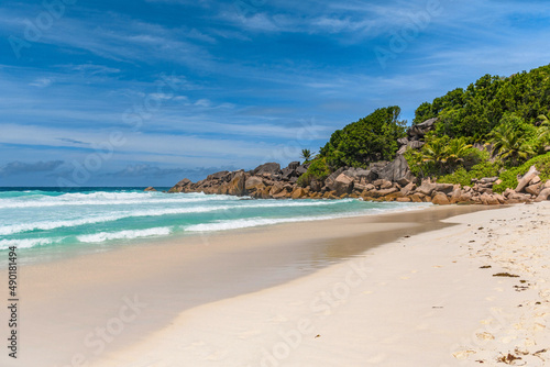 Idyllic tropical beach with sea waves and palm trees on sunny day in summer. © Wirestock 