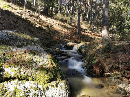Closeup shot of a river in Cercedilla, Spain photo
