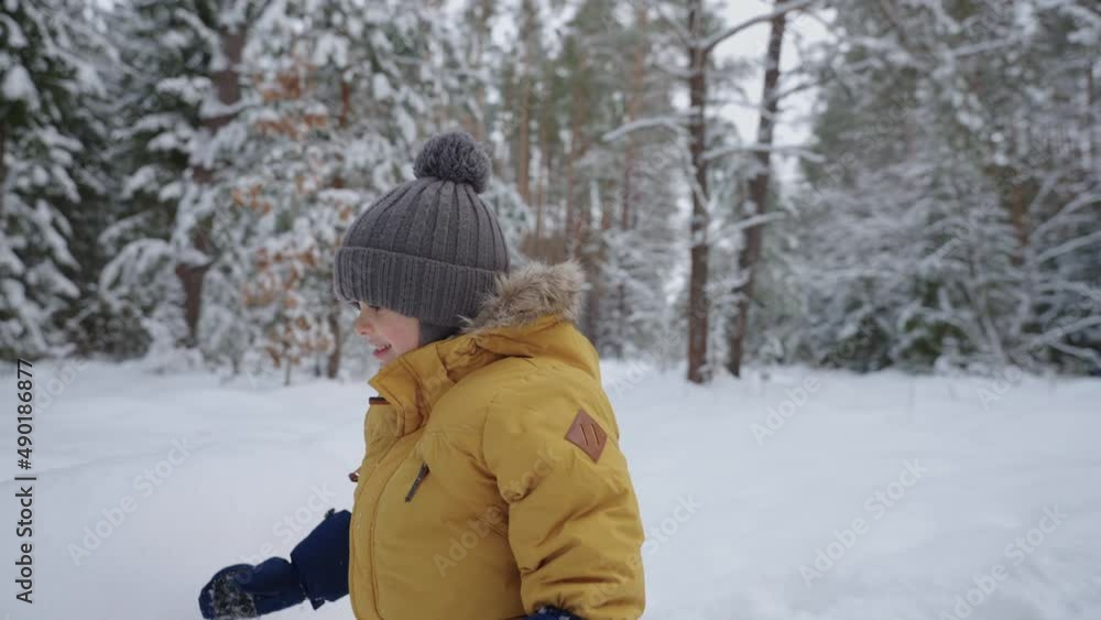 happy little child is playing in winter forest, cute boy with warm hat and jacket is walking in park happy little child is playing in winter forest, cute boy with warm hat and jacket is walking in park