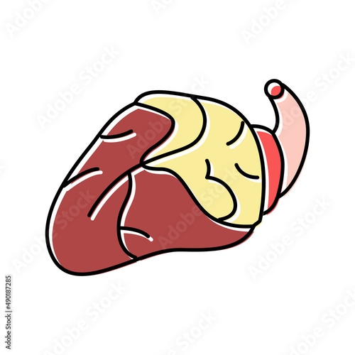 heart chicken color icon vector illustration