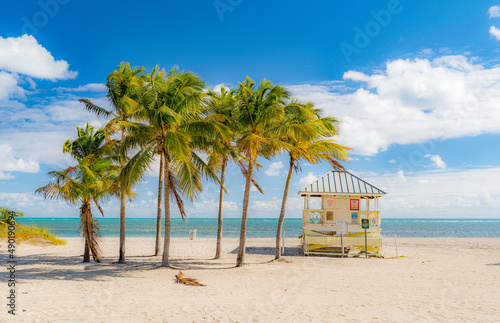 Natural view of a small house with tall palm trees the Crandon Beach in Miami, Florida, USA photo