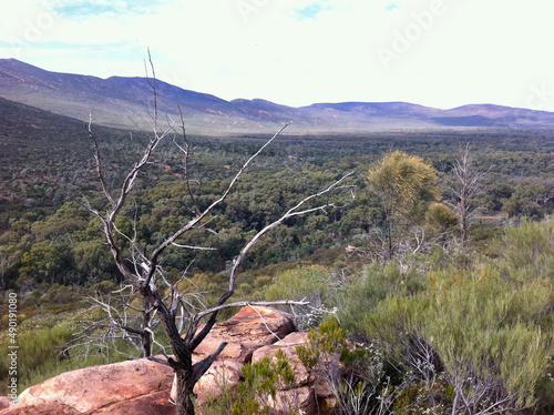 Inside Wilpena pound in the flinders ranges photo