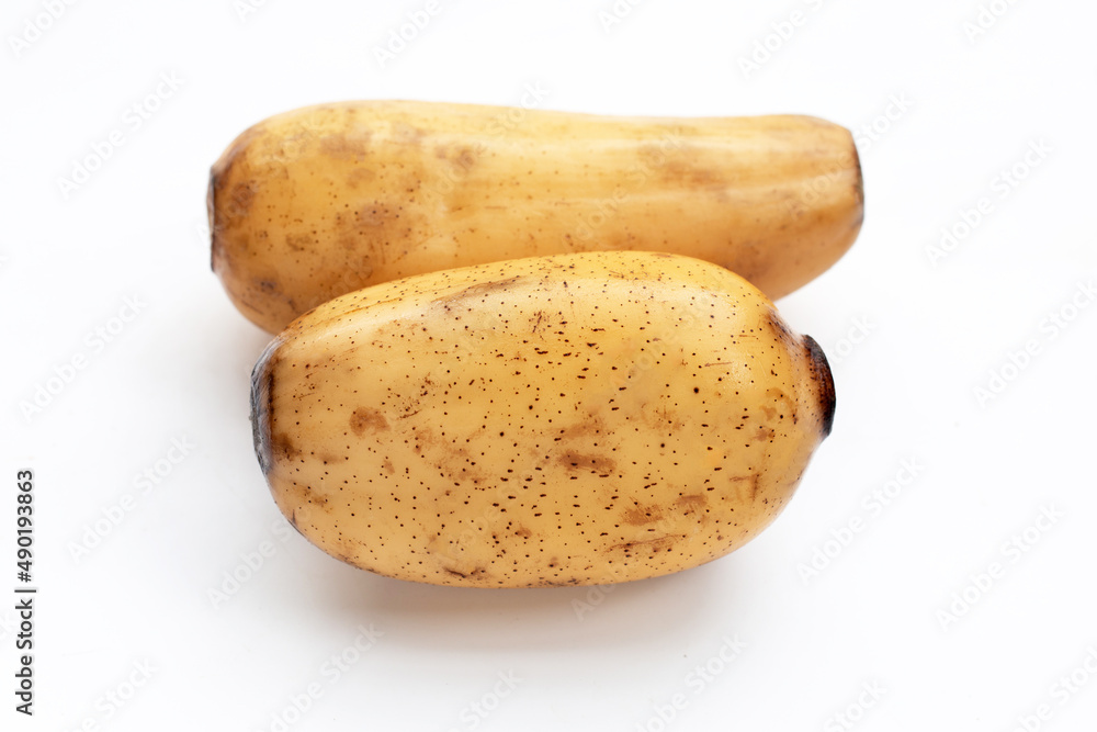 Lotus roots on white background. Lotus roots on white background.