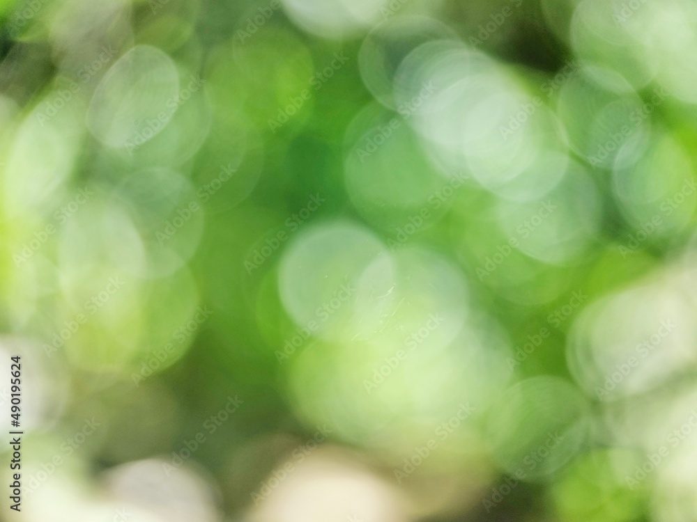 Obraz premium Green leaf bokeh pattern background for design