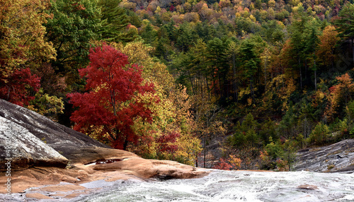 Forest with colorful trees near the Toxaway lake in autumn, North Carolina photo