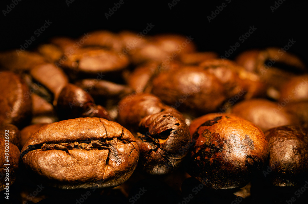 Closeup of fresh black coffee seeds under light with a dark background