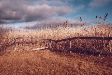 Wandcirkels Bruin Droog grasveld onder blauwe lucht  © Vadimtiesunov/Wirestock