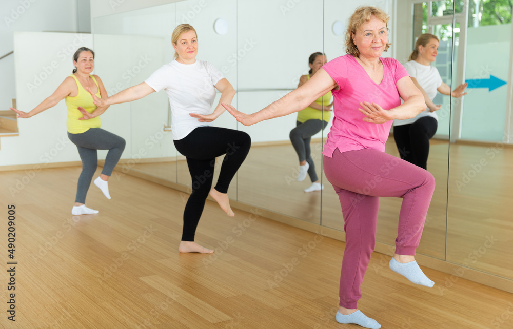 Fototapeta premium Active mature women enjoying training in dance studio, dance class for adults