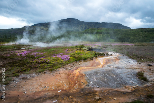 Haukadalur valley in Iceland, a home to geysers and hot springs photo