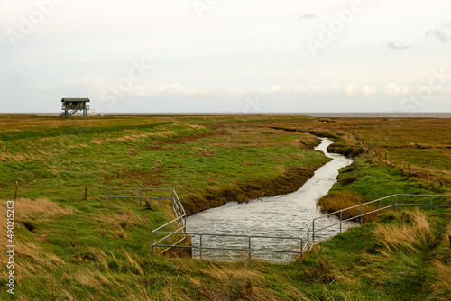 Land drainage outfall of saltmarsh in Friskney, Lincolnshire, England