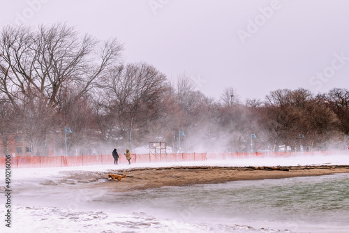 A winter storm whips snow along the shoreline of Toronto's Beaches neighbourhood, a park area popular with dog walkers. photo