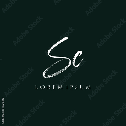 Letter SC luxury logo design vector