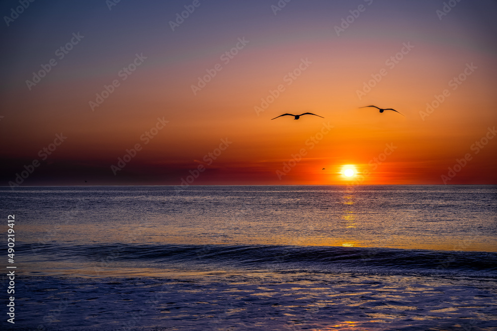 Seagulls flying over the sea at sunset