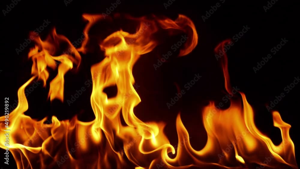 pile heat fire flame isolated
pile heat fire flame isolated