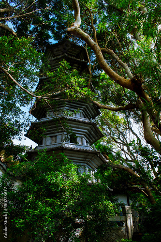 Vertical shot of the Buddhist Temple through trees in Naha City, Okinawa Japan photo