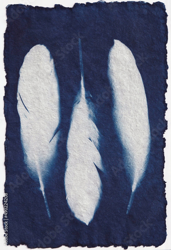 Cyanotype - Goose Feathers Trio