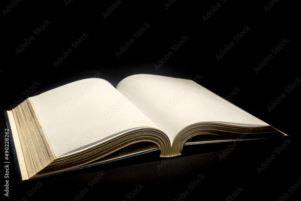 Closeup view of the opened book Closeup view of the opened book