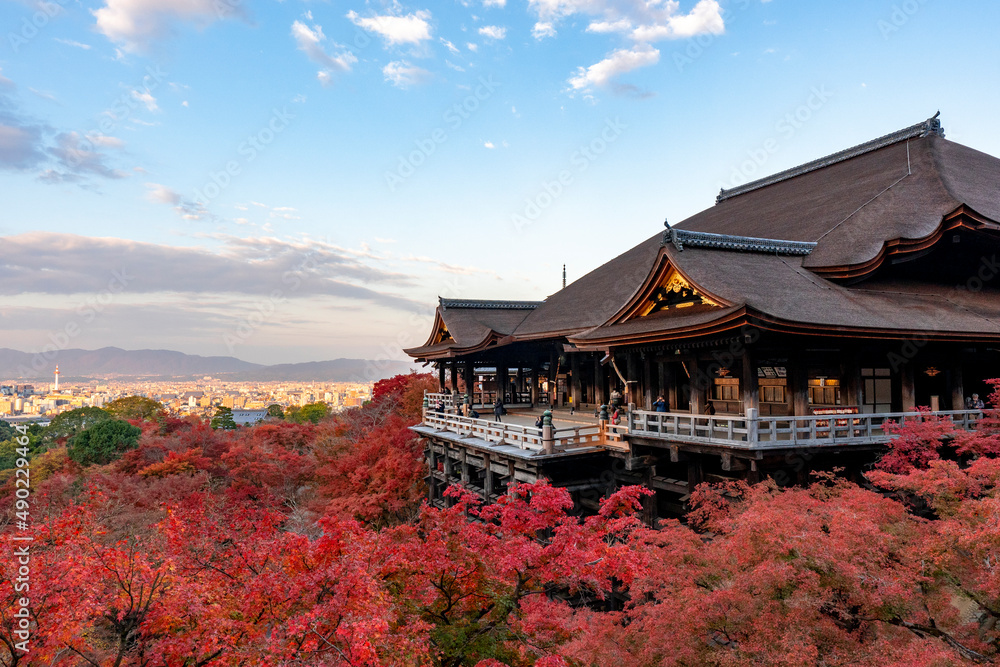 Obraz premium [京都]紅葉の清水寺舞台の風景