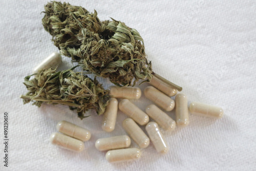 Closeup shot of cannabis buds and capsules photo