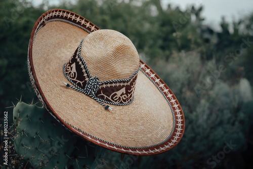 Close-up shot of an elegant charro hat hanging from a cactus photo