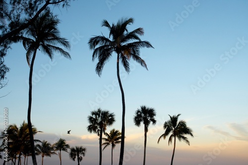 South Florida Sunsets