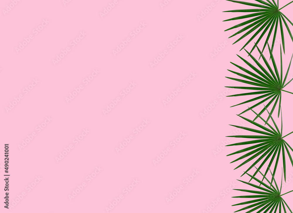 green palm leaf branches on white background. flat lay, top view green palm leaf branches on white background. flat lay, top view