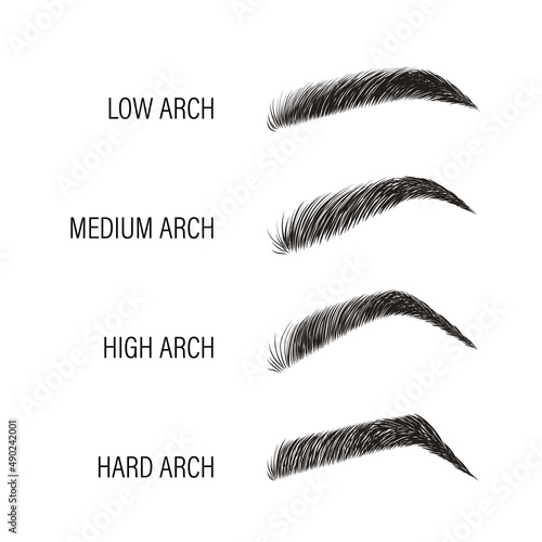 Female eyebrows. Various forms and types. Arch brows shapes. Linear vector Illustration in trendy minimalist style. Brow bar logo.