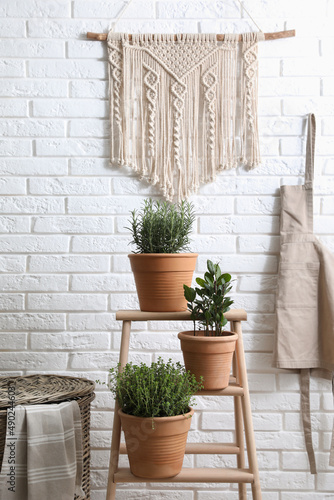 Fototapeta Naklejka Na Ścianę i Meble -  Different aromatic potted herbs near white brick wall indoors